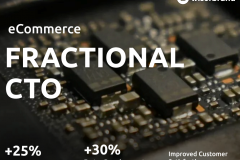 Fueling Growth with Technology Leadership (IT Consulting)